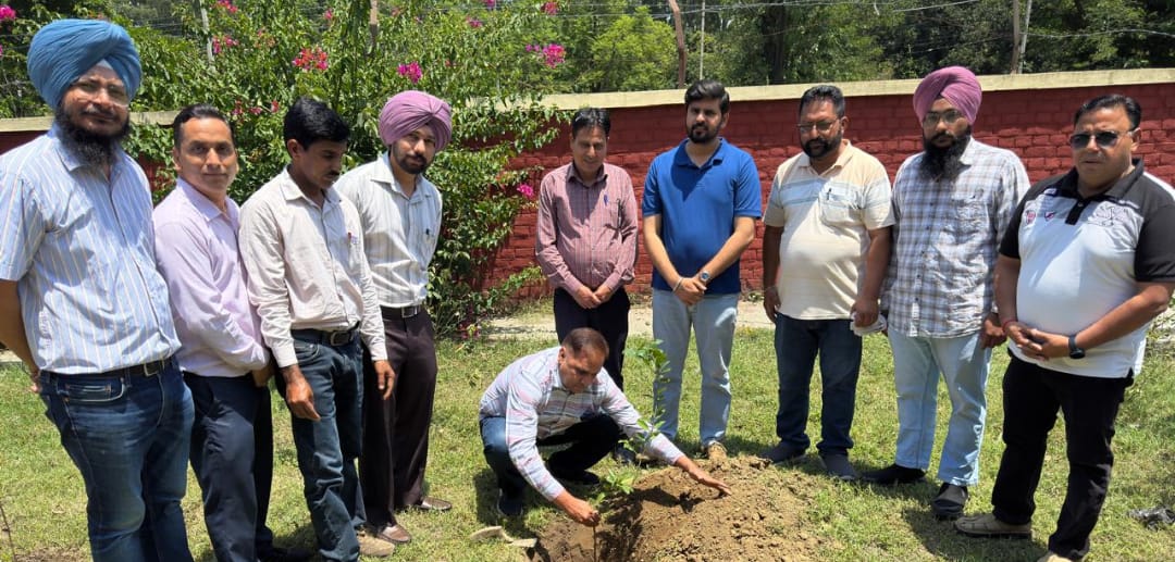 Hoshiarpur: बीबीएमबी तलवाड़ा में विश्व पर्यावरण दिवस मनाया गया
