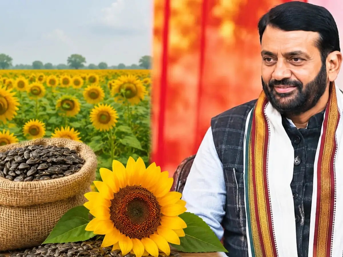Chandigarh: हरियाणा के किसानों को राहत, सूरजमुखी पंजीकरण के लिए 60 दिन का अतिरिक्त समय