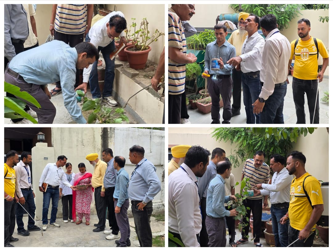Hoshiarpur: हर शुक्रवार डेंगू पर वार अभियान के तहत लार्वा नष्ट करते हुए दी गई चेतावनी