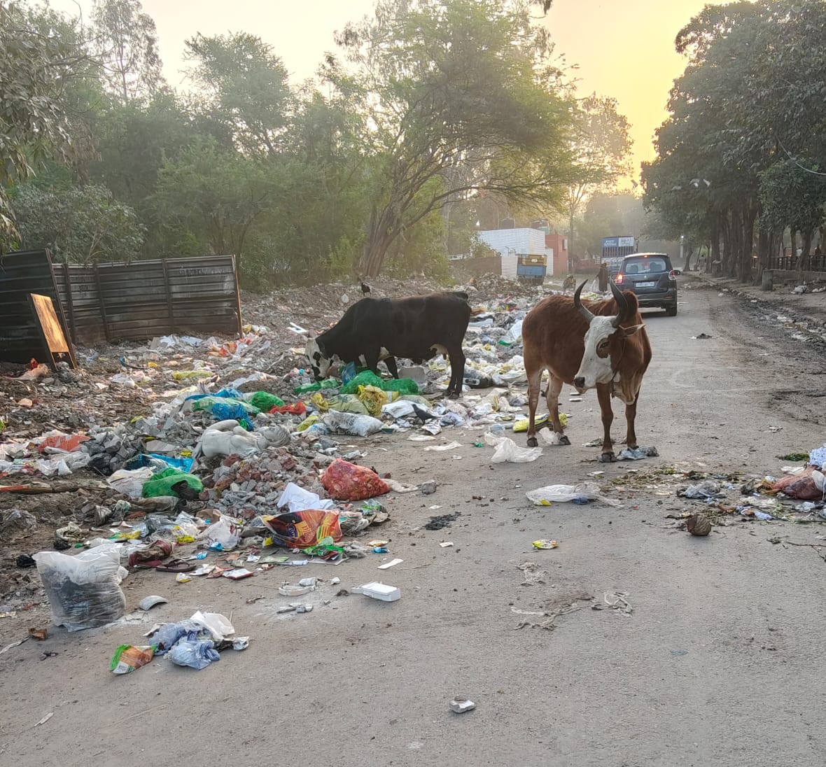 राम दरबार क्षेत्र में कूड़े का अंबार, गैस गोदामों के पास बढ़ा बड़ा हादसे का खतरा