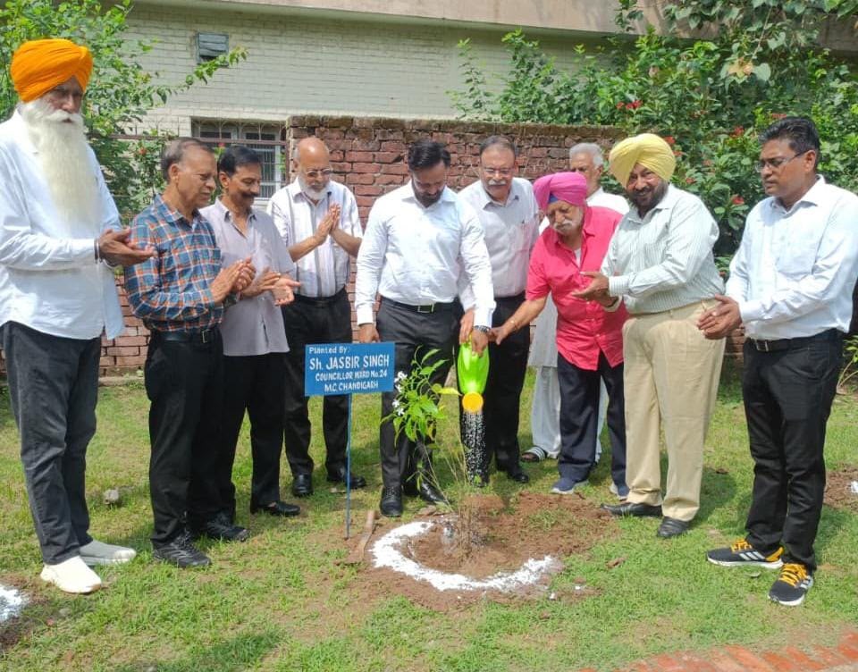 Chandigarh: चंडीगढ़ के सेक्टर-36 में फिटनेस और हरियाली को मिला बढ़ावा, ओपन जिम के साथ चला पौधारोपण अभियान